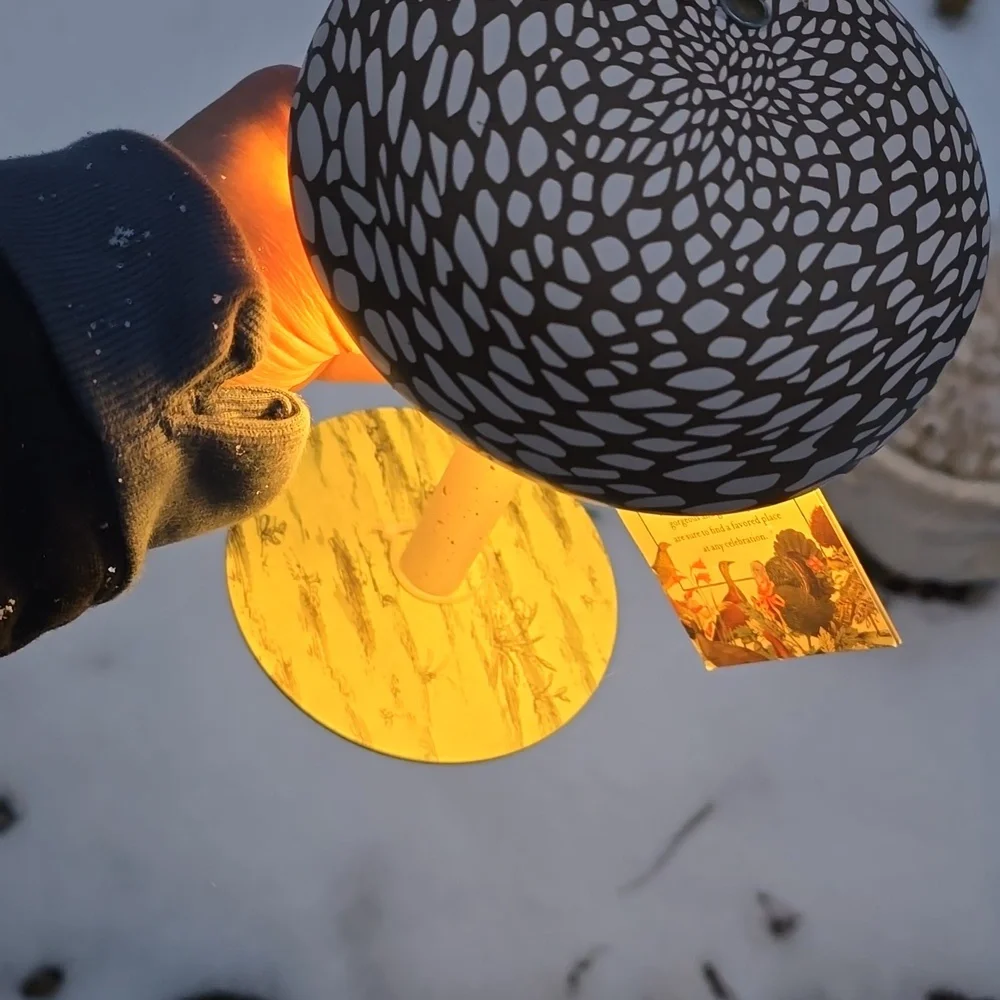 Mushroom Lamp John Derian Brown White Gnomecore Cordless Rechargable NWT - Picture 5 of 9